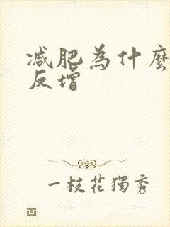 减肥为什么不减反增