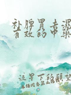 补脾胃去湿气最有效的中药方子