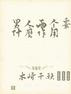 男人两个睾丸起什么作用