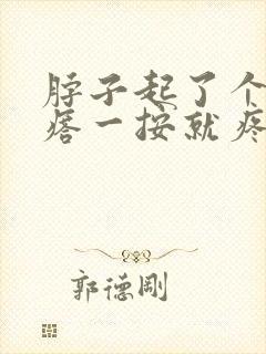 脖子起了个硬疙瘩一按就疼