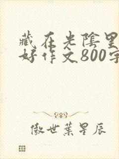 藏在光阴里的美好作文800字