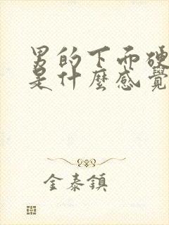 男的下面硬起来是什么感觉