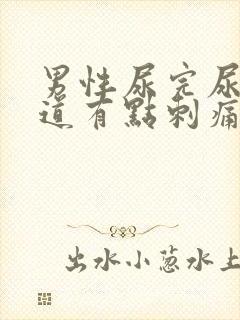 男性尿完尿后尿道有点刺痛怎么办