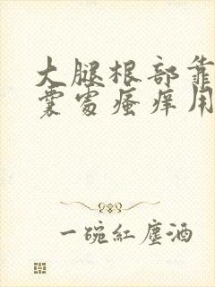 大腿根部靠近阴囊处瘙痒用什么药