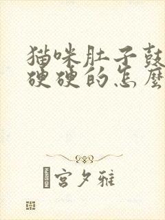 猫咪肚子鼓鼓的硬硬的怎么办