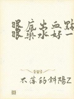 眼底出血点什么眼药水好一点呢