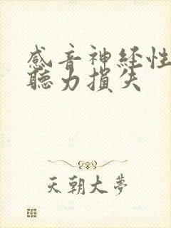 感音神经性轻度听力损失