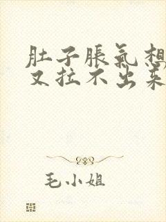 肚子胀气想拉屎又拉不出来怎么办