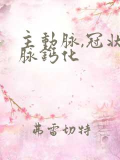 主动脉,冠状动脉钙化