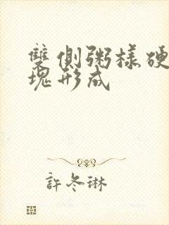 双侧粥样硬化斑块形成