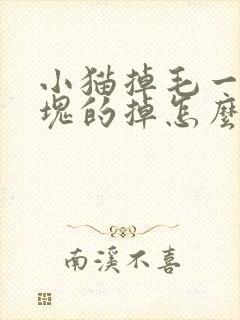 小猫掉毛一块一块的掉怎么回事