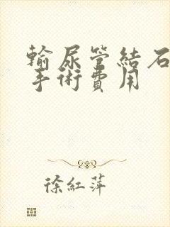 输尿管结石软镜手术费用