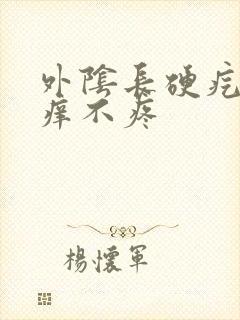 外阴长硬疙瘩不痒不疼