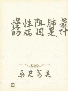 慢性阻肺最常见的病因是什么