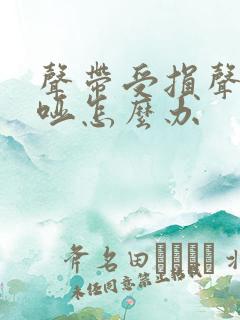 声带受损声音沙哑怎么办