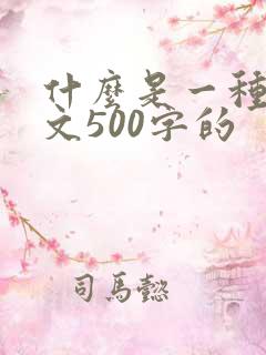 什么是一种美作文500字的
