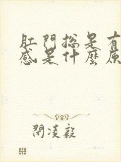 肛门总是有下坠感是什么原因