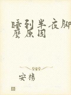 睡到半夜脚麻什么原因