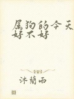 属狗的今天运气好不好