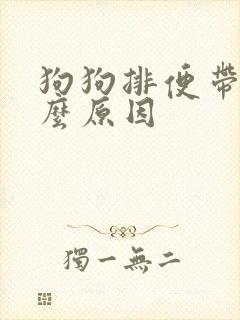 狗狗排便带血什么原因