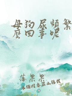 母狗尿频繁是怎么回事呢