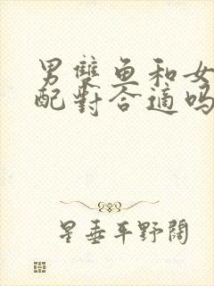 男双鱼和女双子配对合适吗