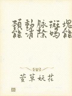 颈动脉斑块中医能消除吗能治好吗