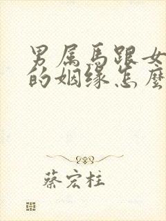 男属马跟女属猴的姻缘怎么样