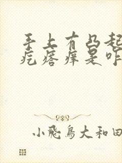 手上有凸起的硬疙瘩痒是咋回事