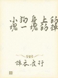 小狗身上的毛一块一块的掉是怎么回事?