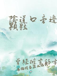 阴道口旁边长了颗粒