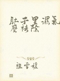 肚子里湿气重怎么祛除