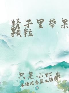 精子里带果冻状颗粒