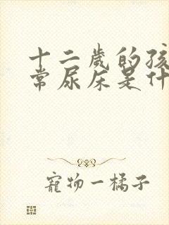 十二岁的孩子经常尿床是什么原因