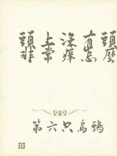 头上没有头屑但非常痒怎么办