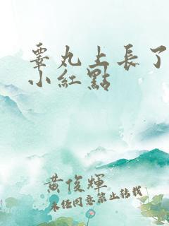 睾丸上长了好多小红点