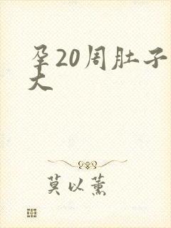 孕20周肚子多大