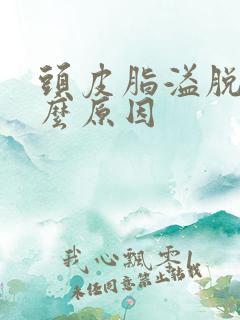 头皮脂溢脱发什么原因