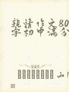 亲情作文800字初中满分优秀叙事