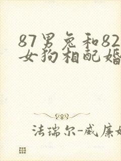 87男兔和82女狗相配婚姻如何