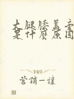 大腿膝盖旁边疼是什么原因