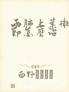 两肺上叶微小结节怎么治