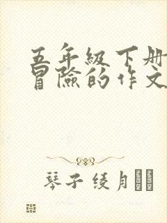 五年级下册语文冒险的作文