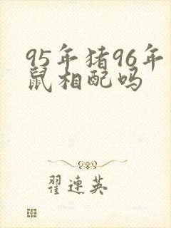 95年猪96年鼠相配吗