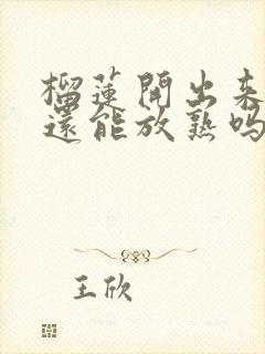 榴莲开出来没熟还能放熟吗