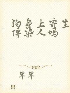 狗身上寄生虫会传染人吗