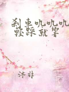 刹车叽叽叽的响 轻踩就响