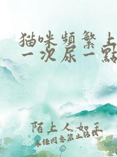 猫咪频繁上厕所一次尿一点咋回事