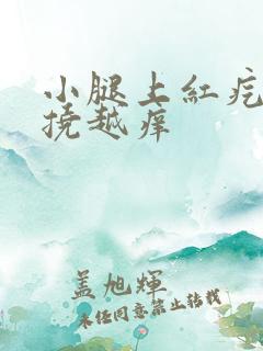 小腿上红疙瘩越挠越痒