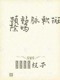 颈动脉软斑能消除吗